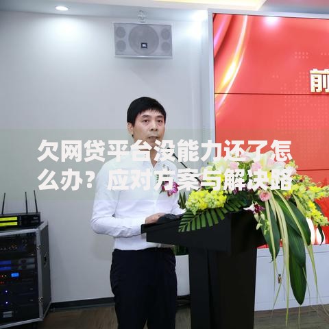 欠网贷平台没能力还了怎么办？应对方案与解决路径解析