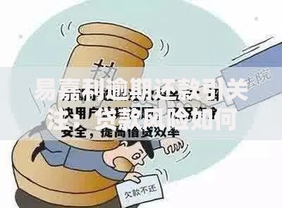 易嘉利逾期还款引关注:贷款风险如何防范? 易嘉利逾期还款引关注:贷款风险如何防范?