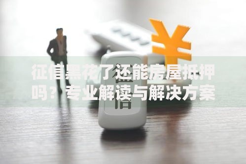征信黑花了还能房屋抵押吗?专业解读与解决方案 征信黑花了还能房屋抵押吗?专业解读与解决方案
