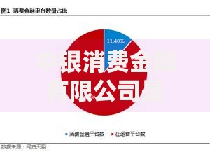 中银消费金融有限公司是哪个网贷平台 中银消费金融有限公司是哪个网贷平台
