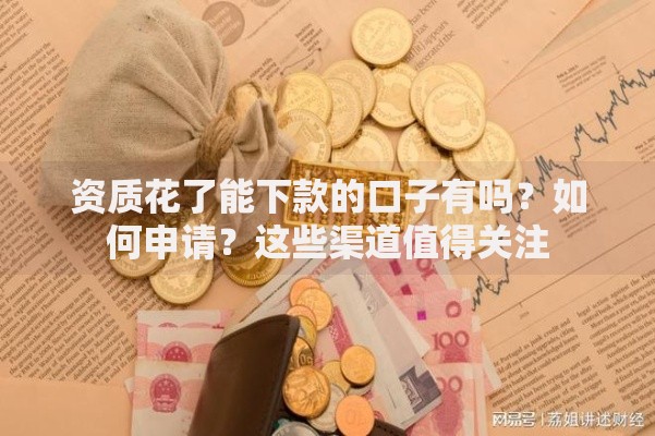 资质花了能下款的口子有吗？如何申请？这些渠道值得关注