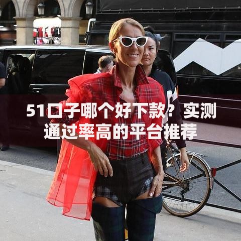 51口子哪个好下款？实测通过率高的平台推荐