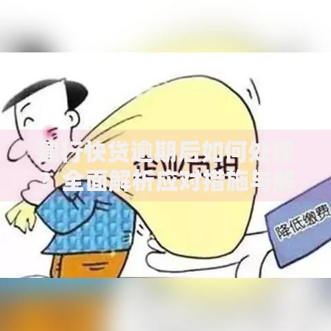 建行快贷逾期后如何处理？全面解析应对措施与解决方案