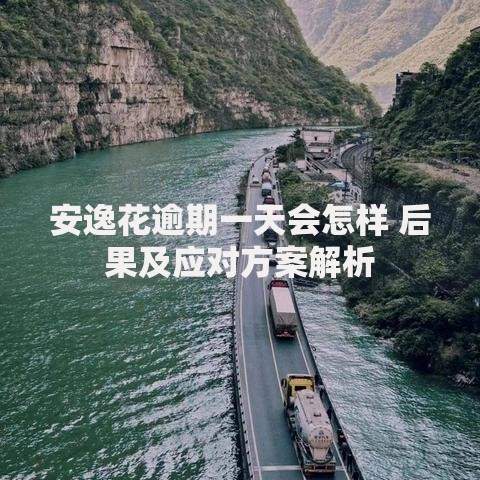 安逸花逾期一天会怎样 后果及应对方案解析