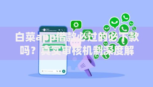 白菜app借款必过的必下款吗？真实审核机制深度解析