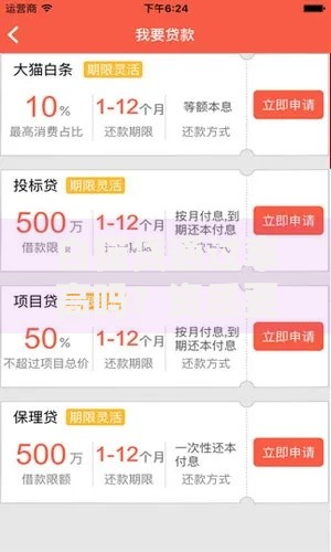 白猫贷通过率高吗？资质要求与审批流程深度解析