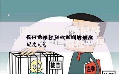 哪里借钱最快最好通过农村信用社?贷款攻略全解析 哪里借钱最快最好通过农村信用社?贷款攻略全解析
