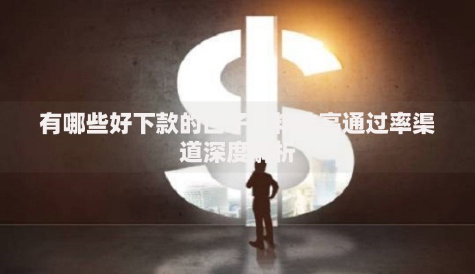 有哪些好下款的口子？精选高通过率渠道深度解析