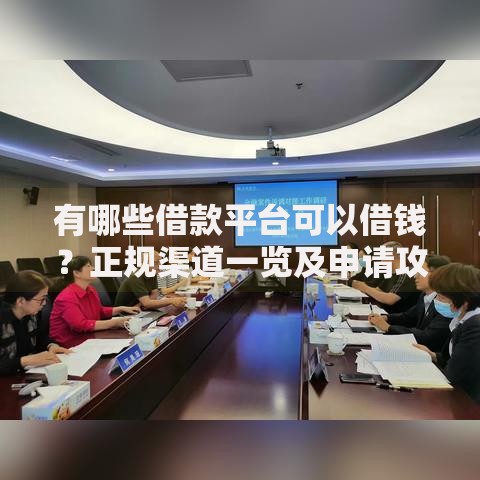 有哪些借款平台可以借钱？正规渠道一览及申请攻略