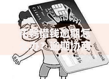 花鸭借钱逾期怎么办？逾期协商技巧与应对方案