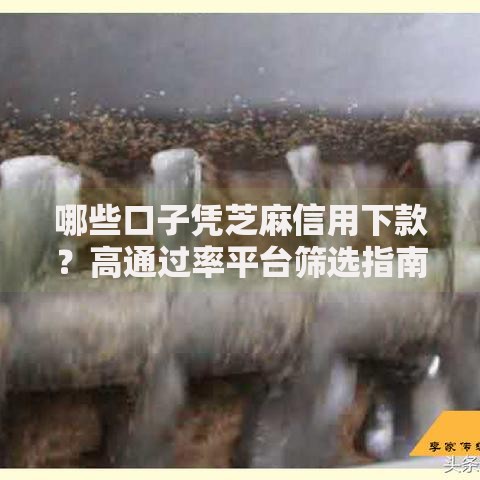 哪些口子凭芝麻信用下款？高通过率平台筛选指南