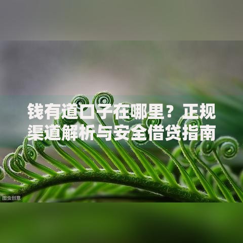 钱有道口子在哪里？正规渠道解析与安全借贷指南
