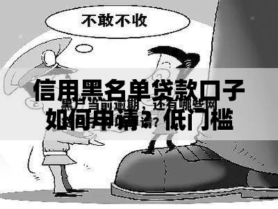 信用黑名单贷款口子如何申请？低门槛借款渠道解析