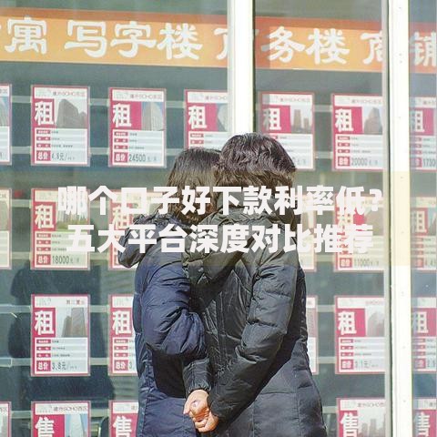 哪个口子好下款利率低？五大平台深度对比推荐