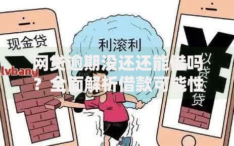 网贷逾期没还还能借吗？全面解析借款可能性与应对策略