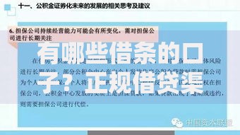 有哪些借条的口子？正规借贷渠道深度解析