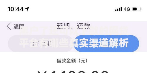 黑户了还可以下款的网贷平台有哪些真实渠道解析