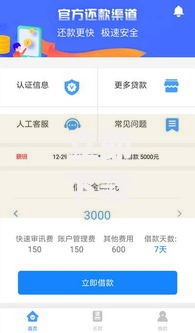 立即下款几百元的口子如何申请？低额度贷款全解析