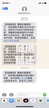 随借随还的贷款缺点是什么？全面解析隐藏风险与使用限制