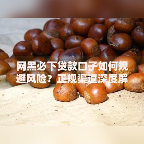 网黑必下贷款口子如何规避风险？正规渠道深度解析