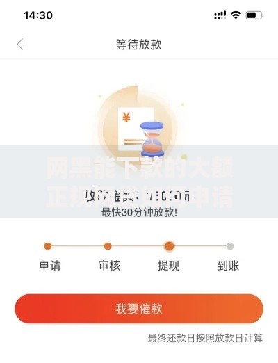 网黑能下款的大额正规网贷如何申请成功？