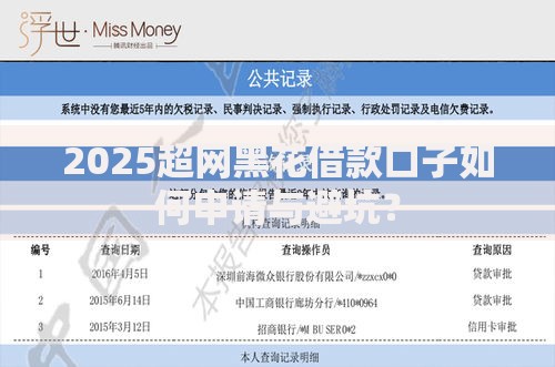 2025超网黑花借款口子如何申请与避坑？