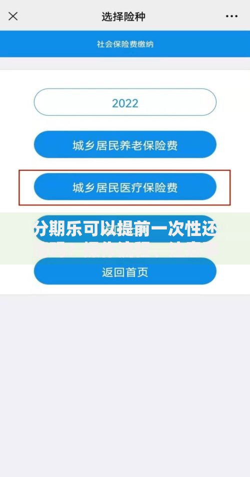 分期乐可以提前一次性还清吗？操作流程、注意事项、违约金解析