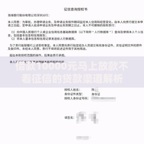 借款10000元马上放款不看征信的贷款渠道解析