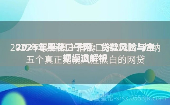 2025年黑花口子网：贷款风险与合规渠道解析