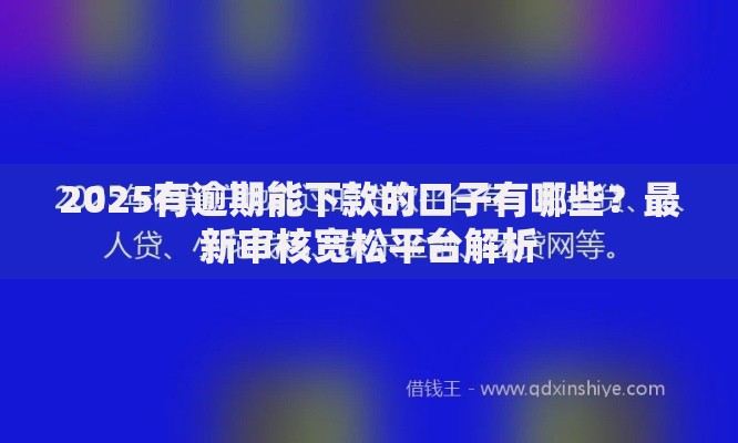 2025有逾期能下款的口子有哪些？最新审核宽松平台解析