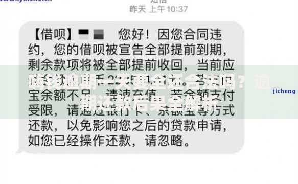 嗨钱逾期一天要全还合法吗？逾期还款后果全解析