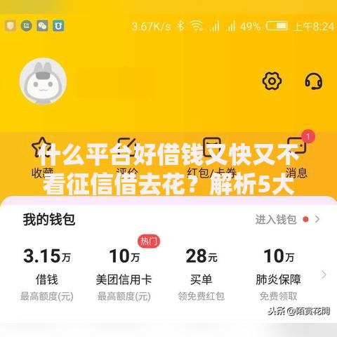 什么平台好借钱又快又不看征信借去花？解析5大低门槛借贷渠道