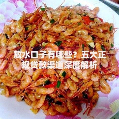 放水口子有哪些？五大正规贷款渠道深度解析