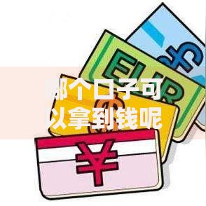 哪个口子可以拿到钱呢？解析合法借贷渠道与申请技巧