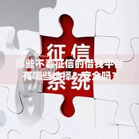 那些不看征信的借钱平台有哪些选择？安全吗？