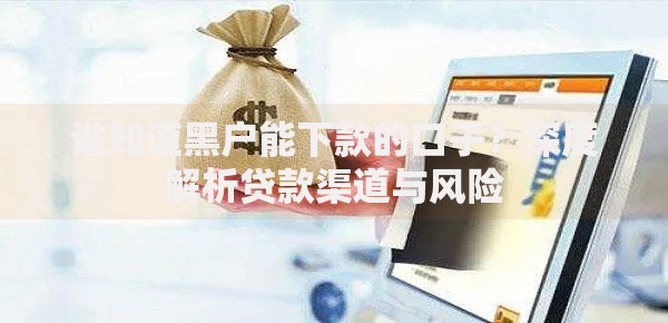 谁知道黑户能下款的口子？深度解析贷款渠道与风险
