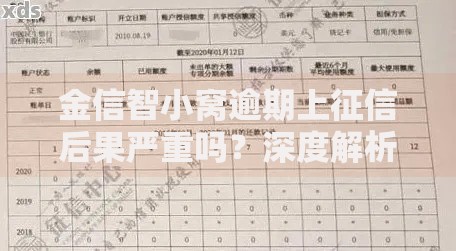 金信智小窝逾期上征信后果严重吗？深度解析与应对