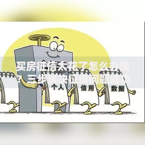 买房征信太花了怎么办理？三步解决征信问题成功贷款