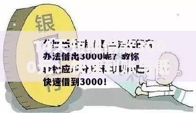 14天短期借款3000元：快速到账与低息方案解析