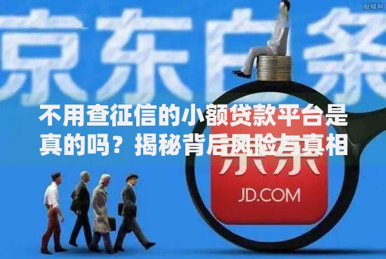 不用查征信的小额贷款平台是真的吗？揭秘背后风险与真相