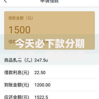 今天必下款分期口子：哪些渠道审核快通过率高