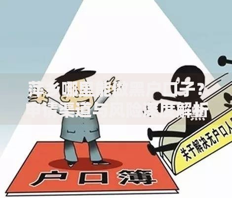 萍乡哪里能做黑户口子？申请渠道与风险深度解析