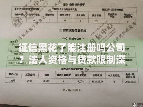 征信黑花了能注册吗公司？法人资格与贷款限制深度解析