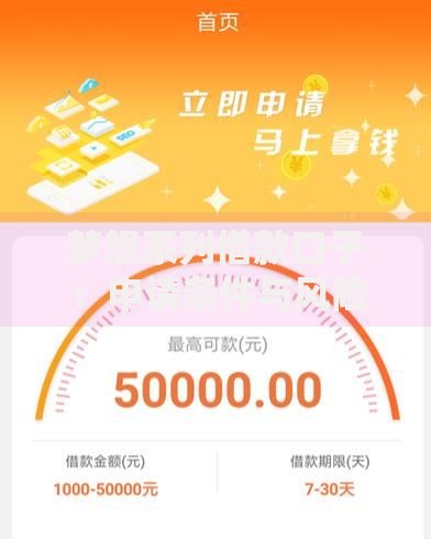梦想系列借款口子：申请条件与风险解析