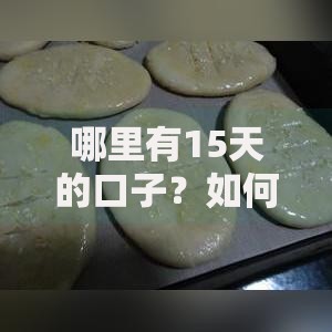 哪里有15天的口子？如何申请？详细解析与平台推荐