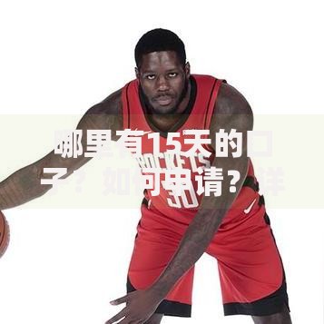 哪里有15天的口子？如何申请？详细解析与平台推荐