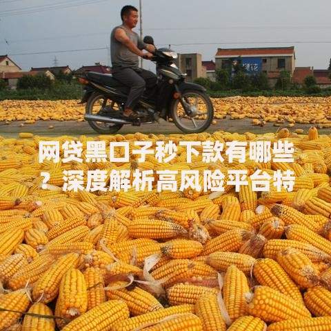 网贷黑口子秒下款有哪些？深度解析高风险平台特征与防范