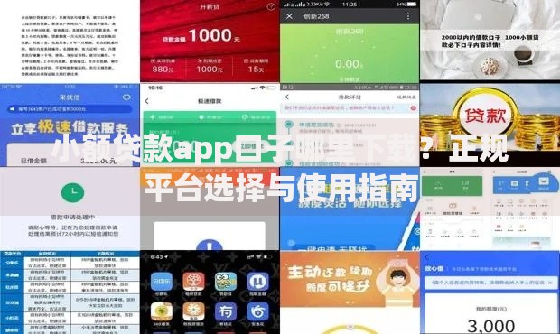 小额贷款app口子哪里下载？正规平台选择与使用指南