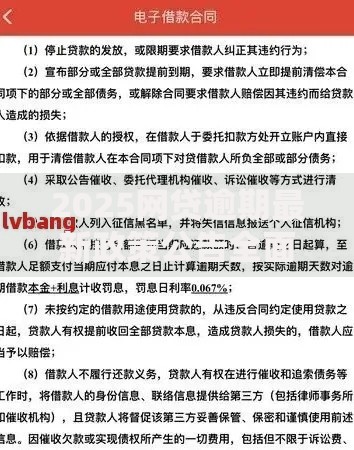 2025网贷逾期最新政策公告全面解读与应对策略