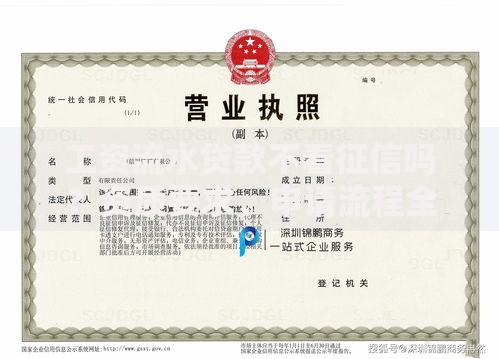 工资流水贷款不看征信吗？资质要求、申请流程全面解析